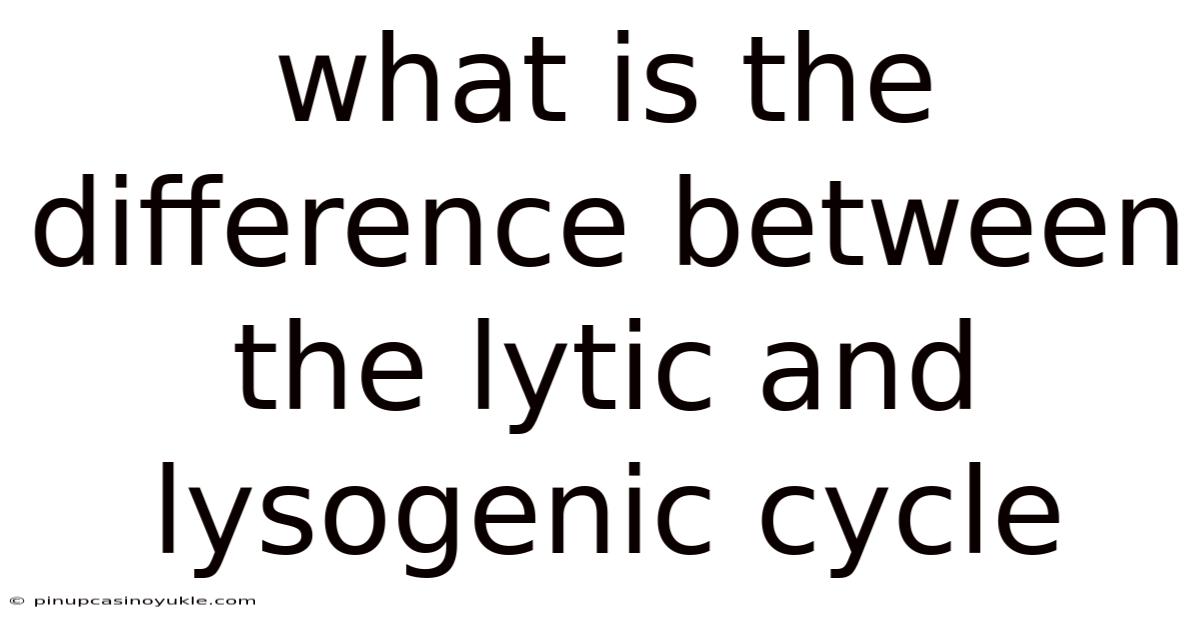 What Is The Difference Between The Lytic And Lysogenic Cycle
