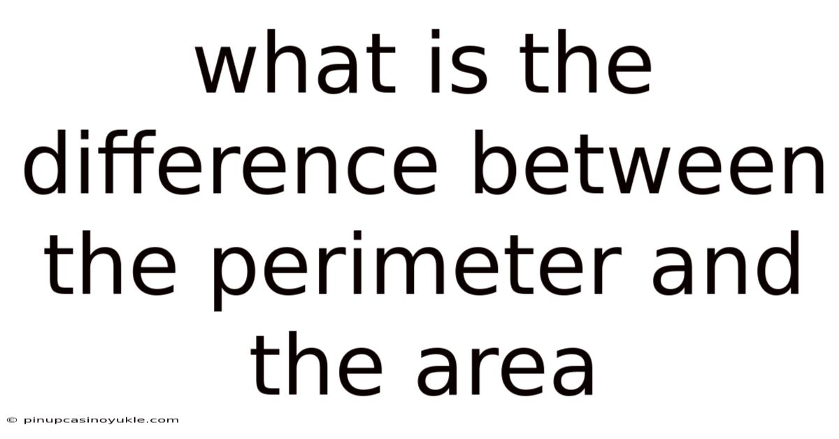 What Is The Difference Between The Perimeter And The Area