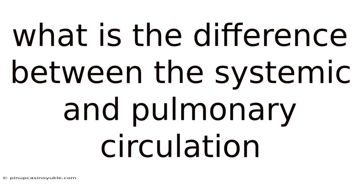 What Is The Difference Between The Systemic And Pulmonary Circulation