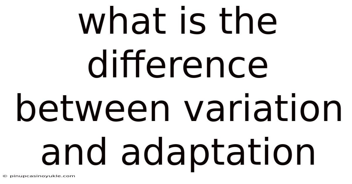 What Is The Difference Between Variation And Adaptation