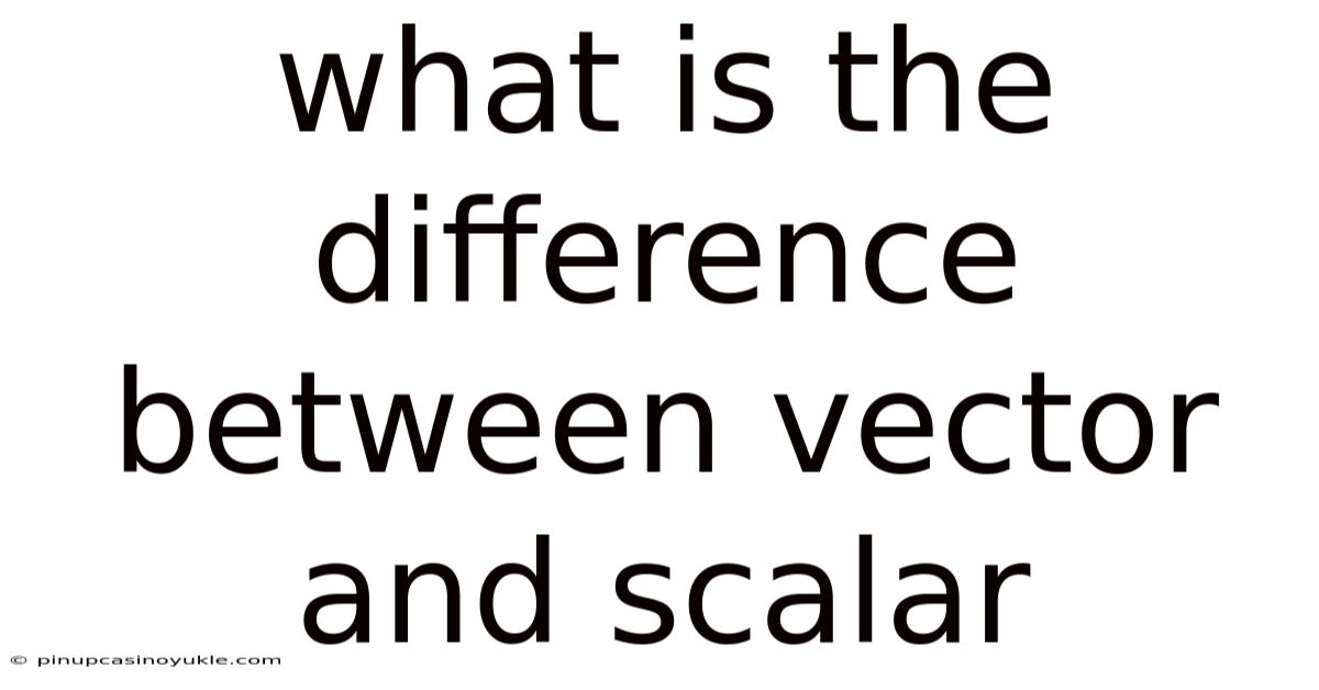 What Is The Difference Between Vector And Scalar