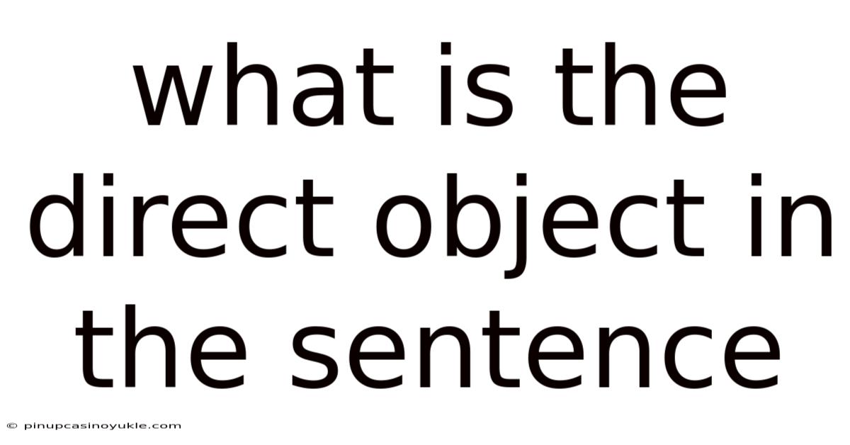 What Is The Direct Object In The Sentence