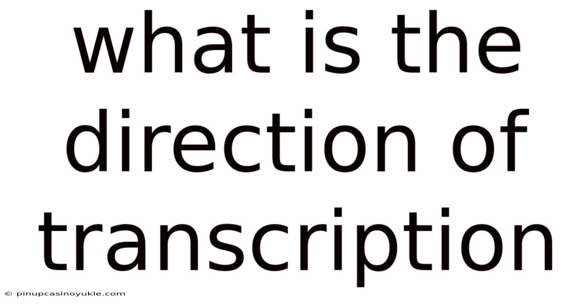 What Is The Direction Of Transcription