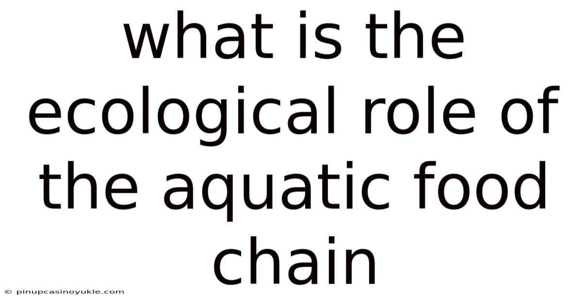 What Is The Ecological Role Of The Aquatic Food Chain