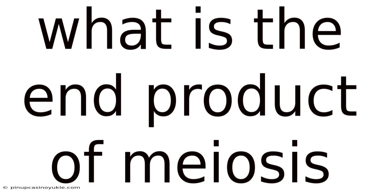 What Is The End Product Of Meiosis