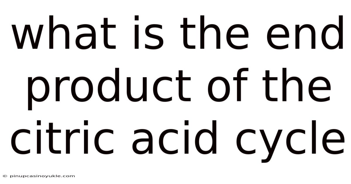 What Is The End Product Of The Citric Acid Cycle