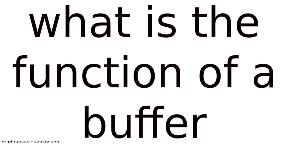 What Is The Function Of A Buffer