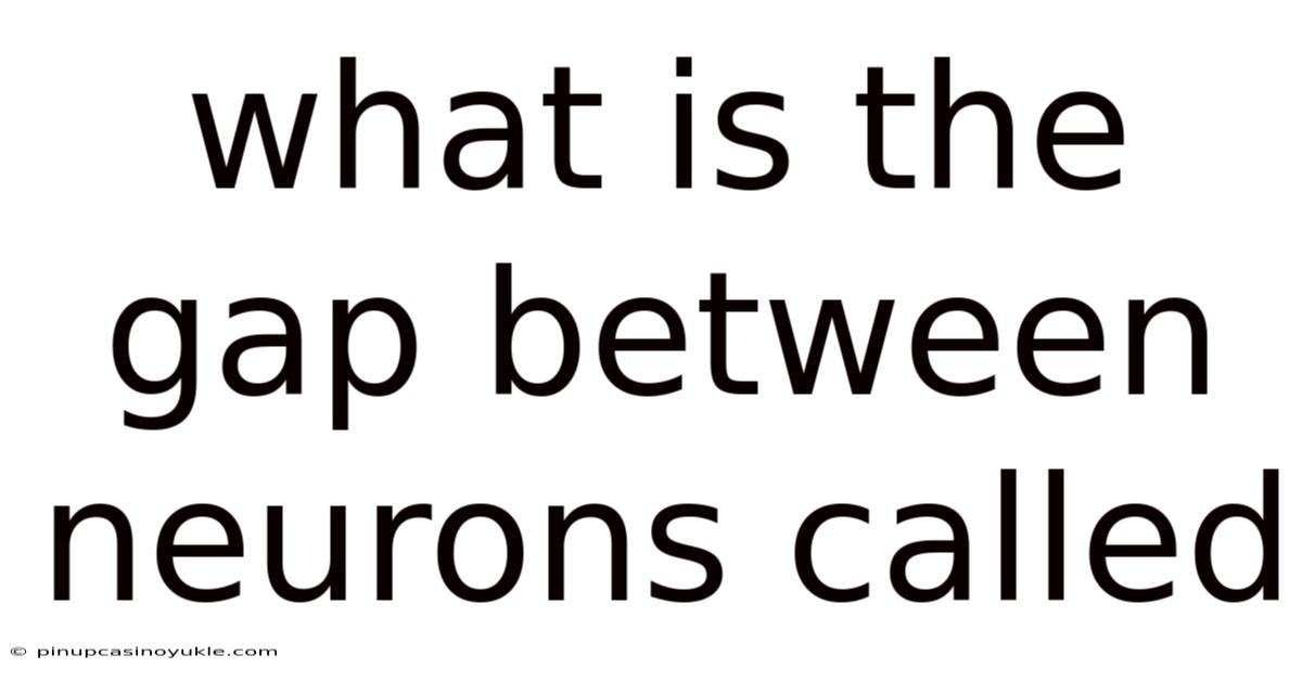 What Is The Gap Between Neurons Called
