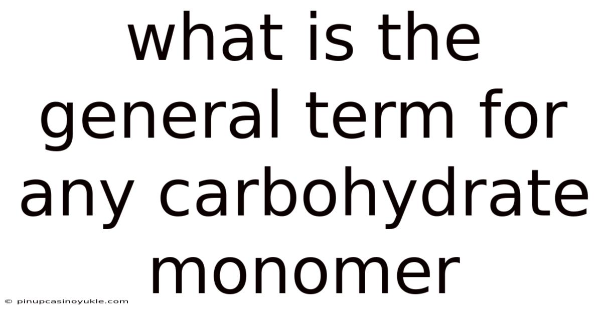 What Is The General Term For Any Carbohydrate Monomer