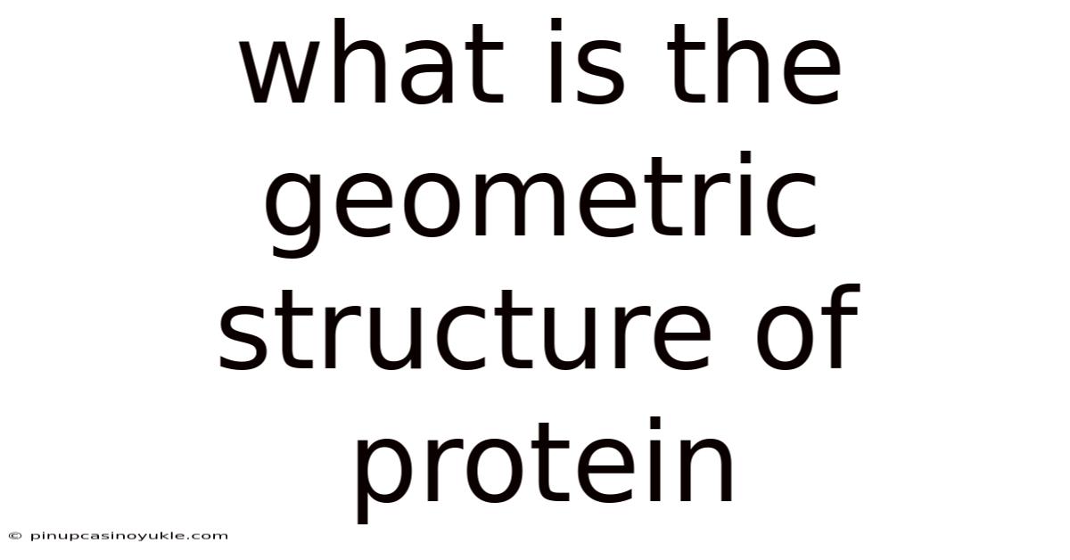 What Is The Geometric Structure Of Protein