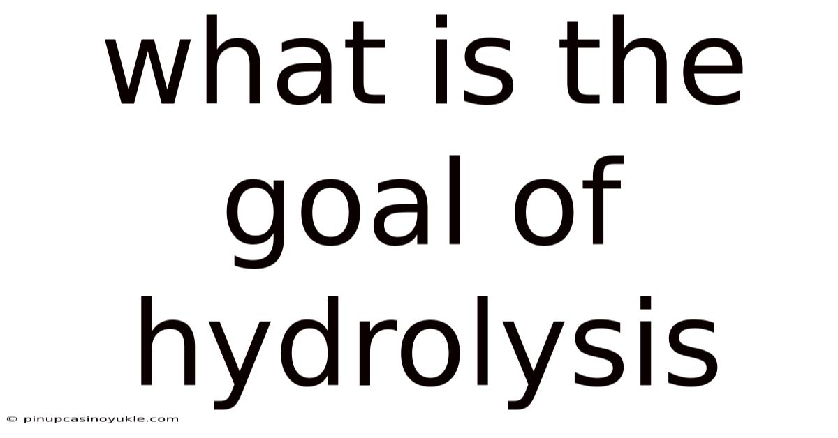 What Is The Goal Of Hydrolysis