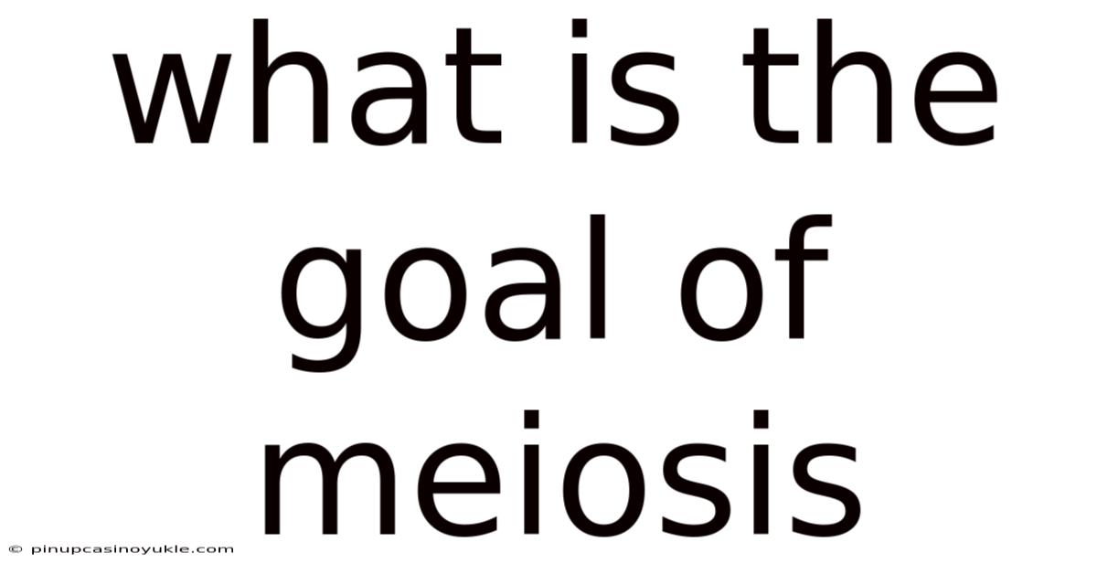 What Is The Goal Of Meiosis