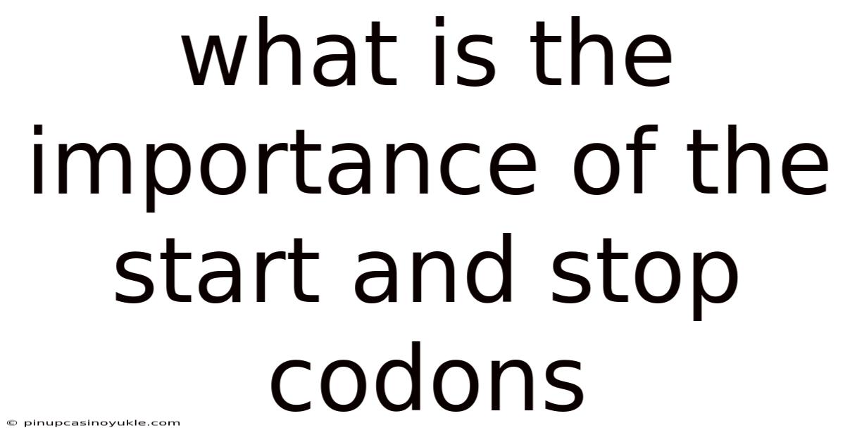 What Is The Importance Of The Start And Stop Codons