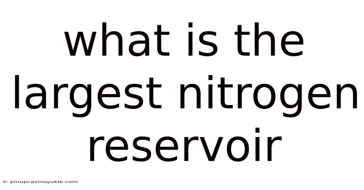 What Is The Largest Nitrogen Reservoir