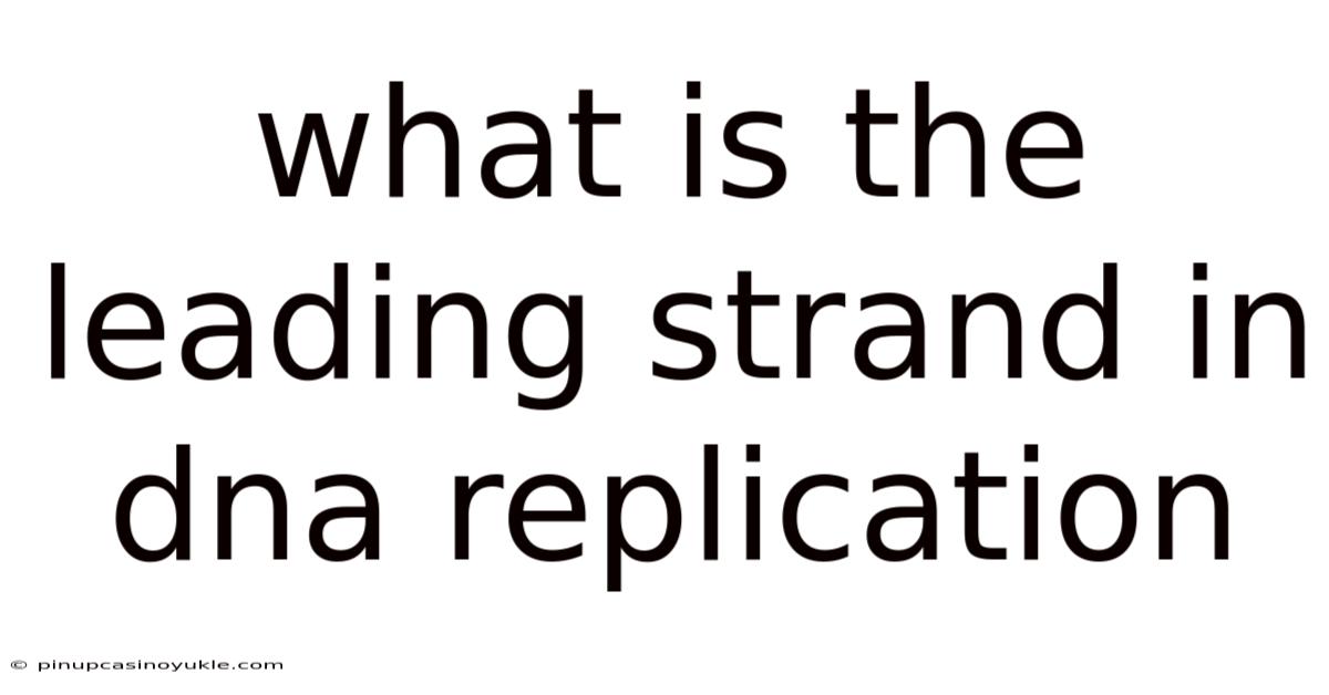 What Is The Leading Strand In Dna Replication