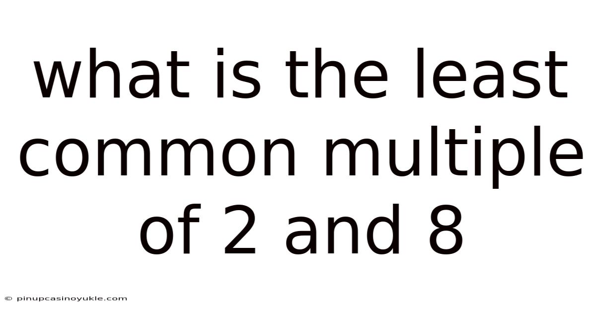 What Is The Least Common Multiple Of 2 And 8