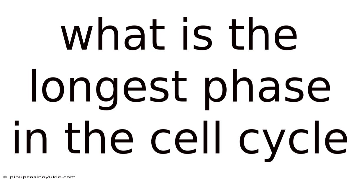 What Is The Longest Phase In The Cell Cycle