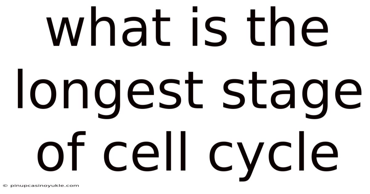 What Is The Longest Stage Of Cell Cycle
