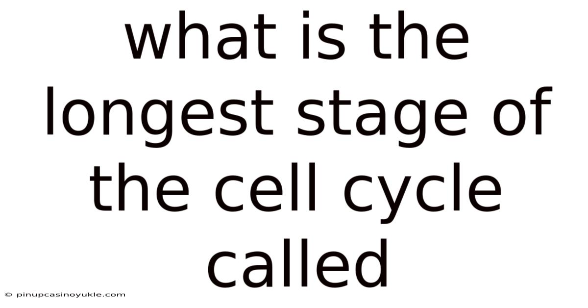 What Is The Longest Stage Of The Cell Cycle Called