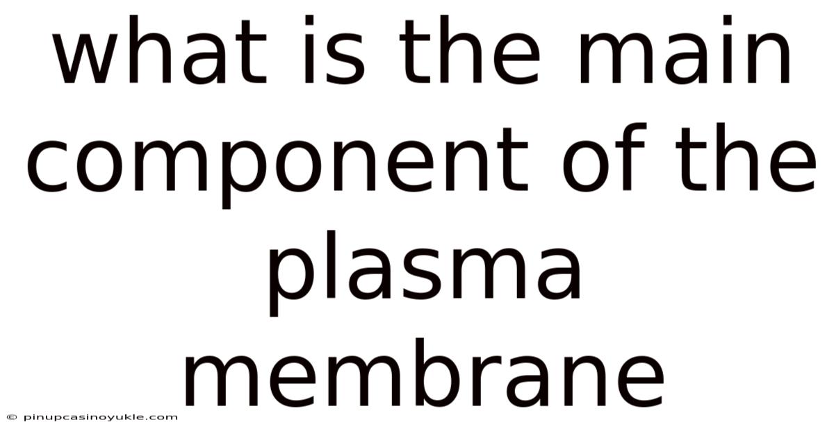What Is The Main Component Of The Plasma Membrane