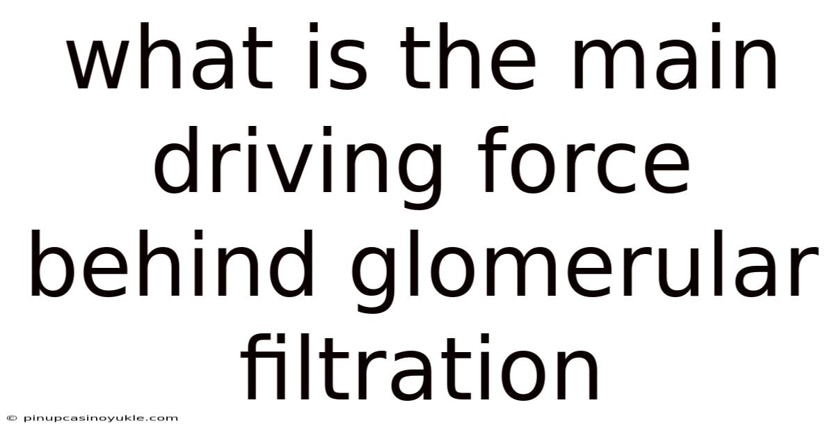 What Is The Main Driving Force Behind Glomerular Filtration