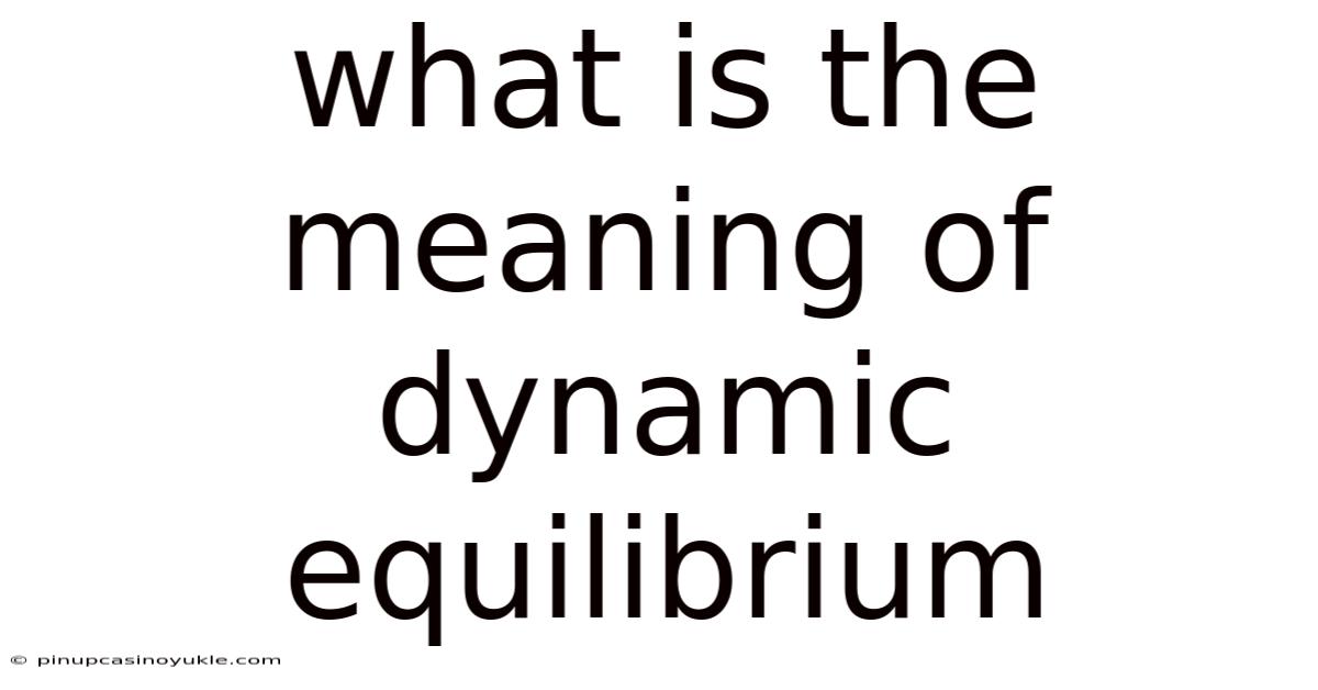 What Is The Meaning Of Dynamic Equilibrium