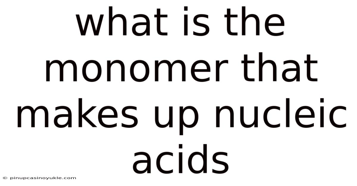 What Is The Monomer That Makes Up Nucleic Acids