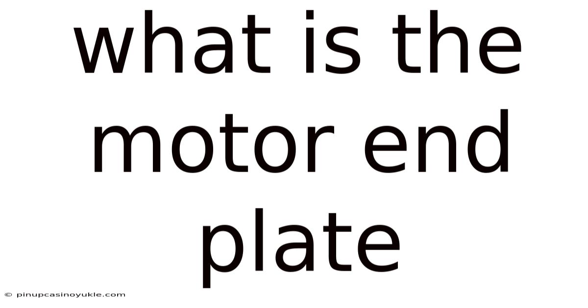 What Is The Motor End Plate