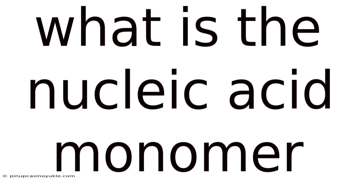 What Is The Nucleic Acid Monomer