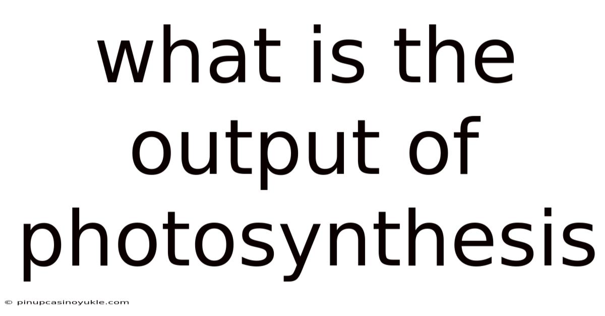 What Is The Output Of Photosynthesis