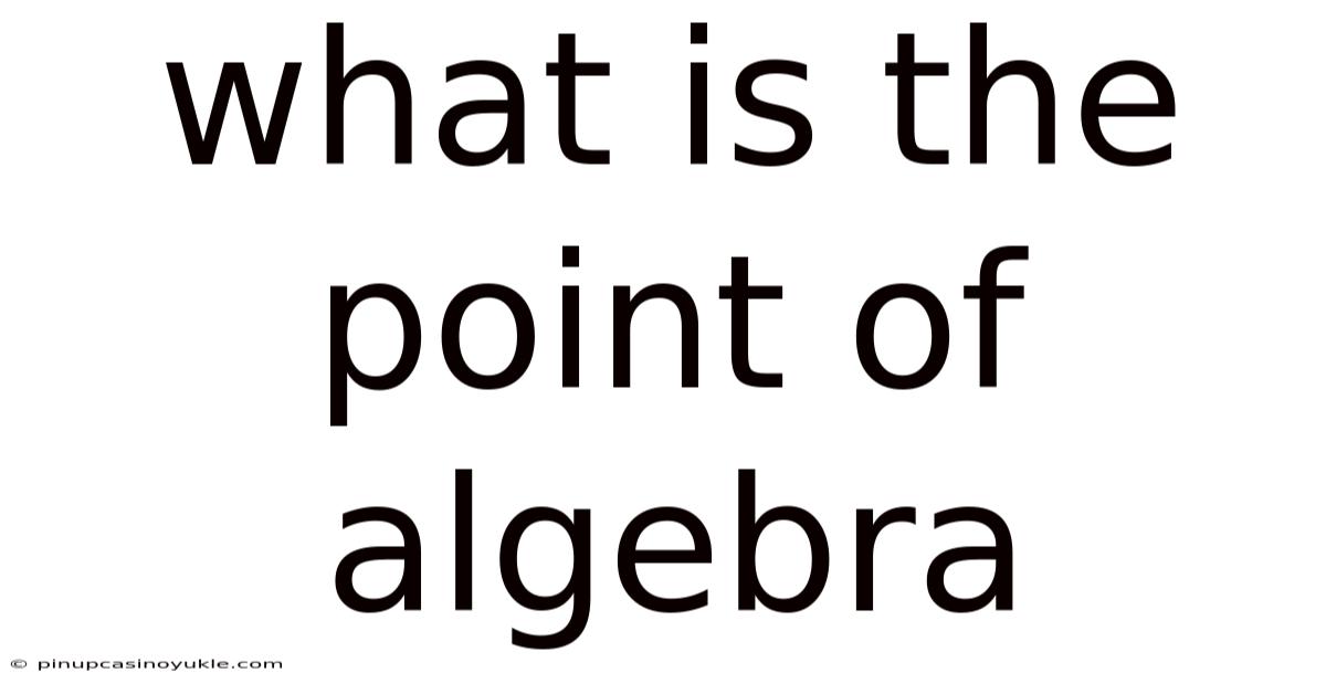 What Is The Point Of Algebra