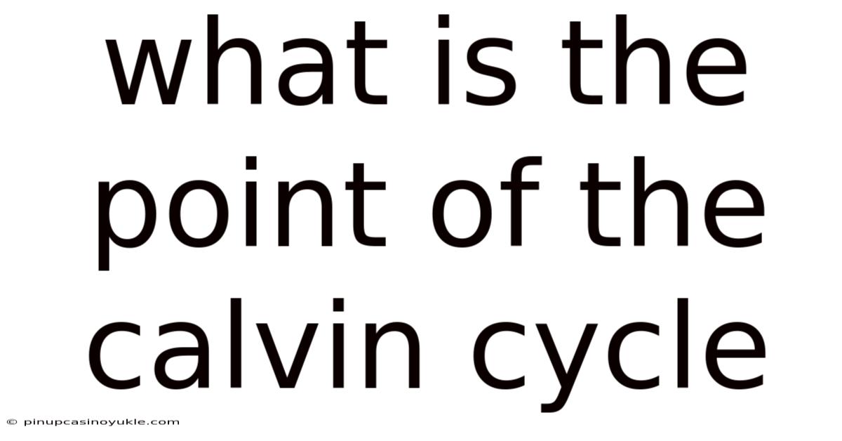 What Is The Point Of The Calvin Cycle