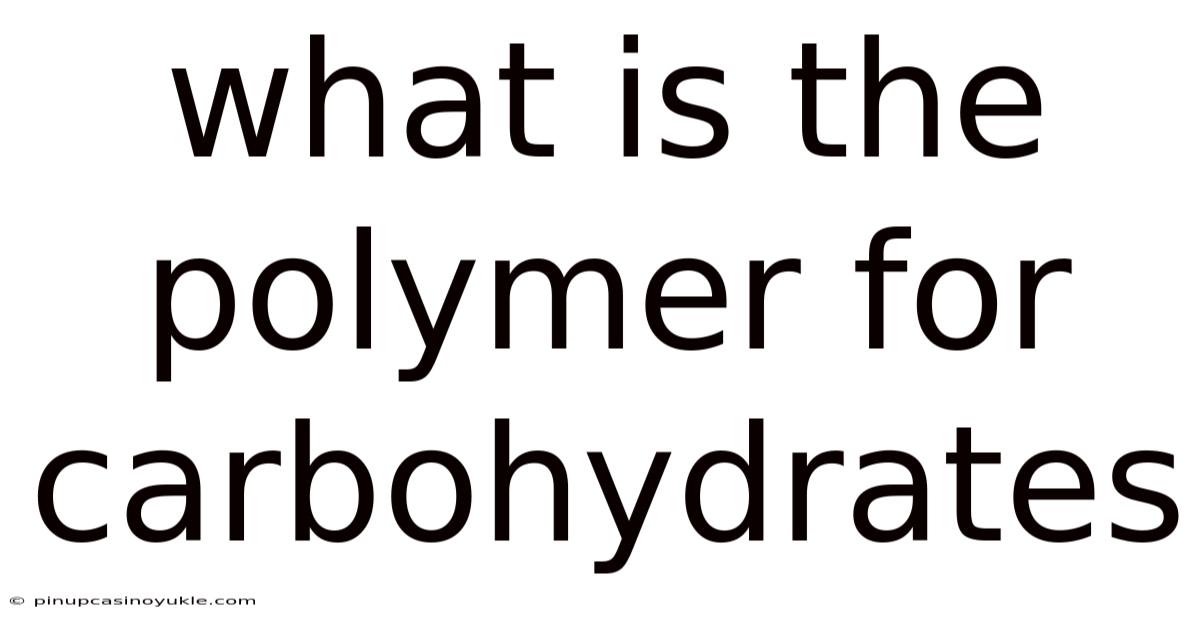 What Is The Polymer For Carbohydrates
