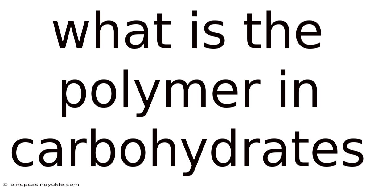 What Is The Polymer In Carbohydrates