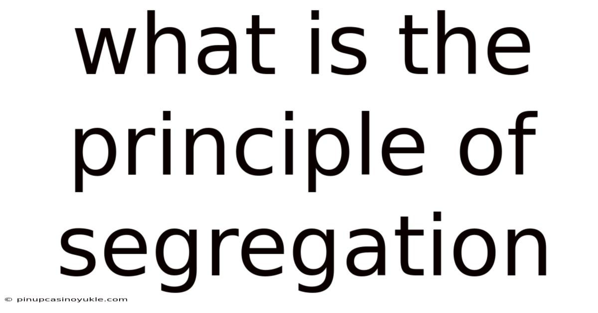 What Is The Principle Of Segregation