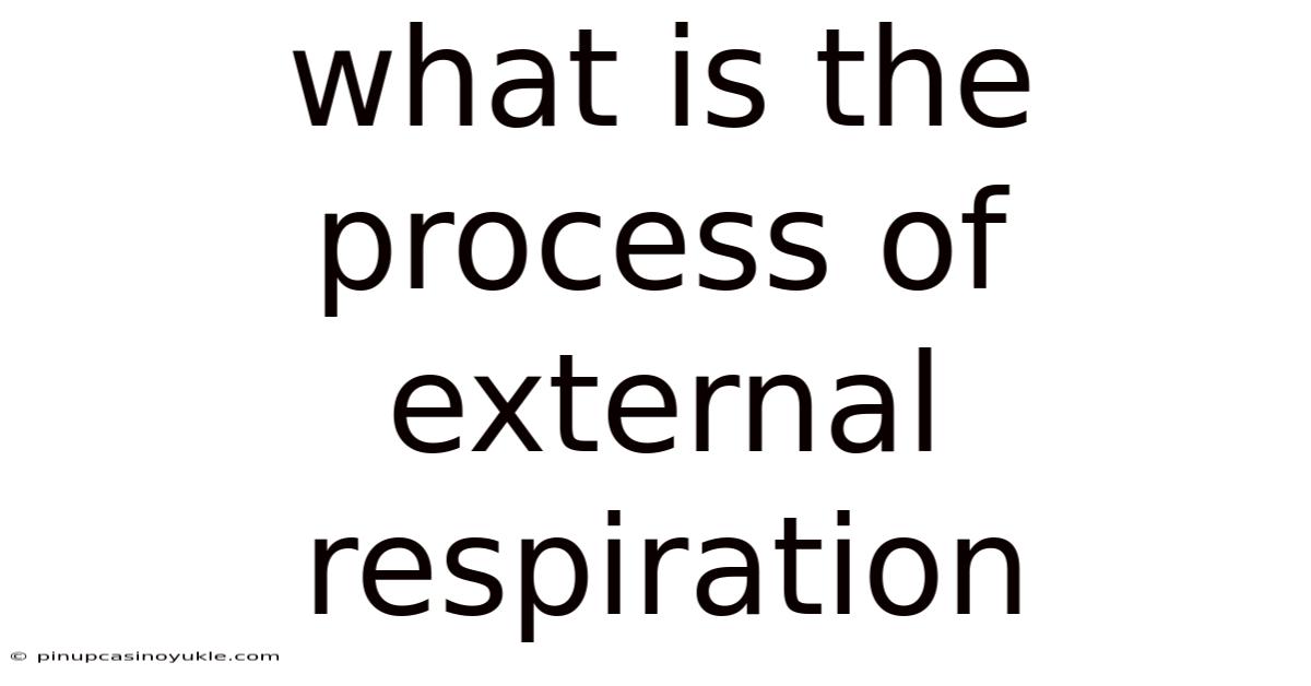 What Is The Process Of External Respiration