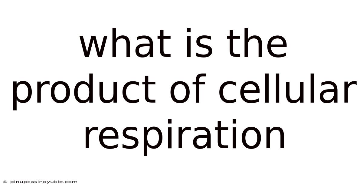 What Is The Product Of Cellular Respiration