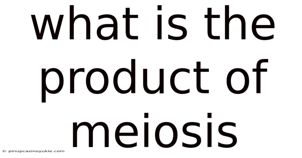 What Is The Product Of Meiosis