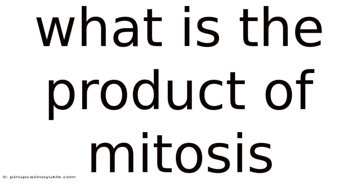 What Is The Product Of Mitosis