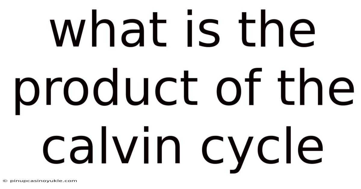 What Is The Product Of The Calvin Cycle