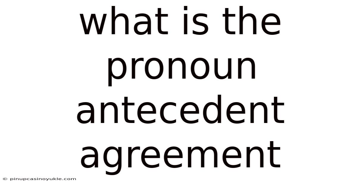 What Is The Pronoun Antecedent Agreement