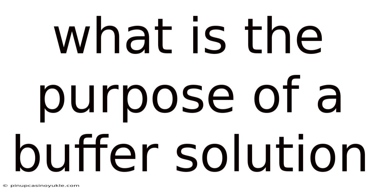 What Is The Purpose Of A Buffer Solution