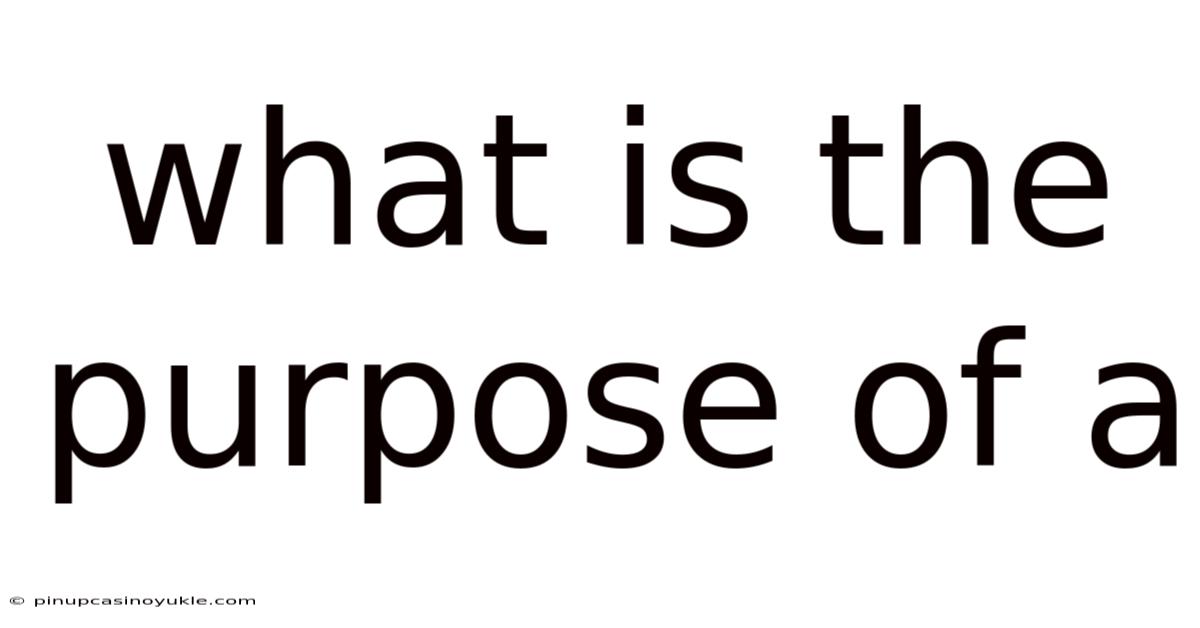 What Is The Purpose Of A