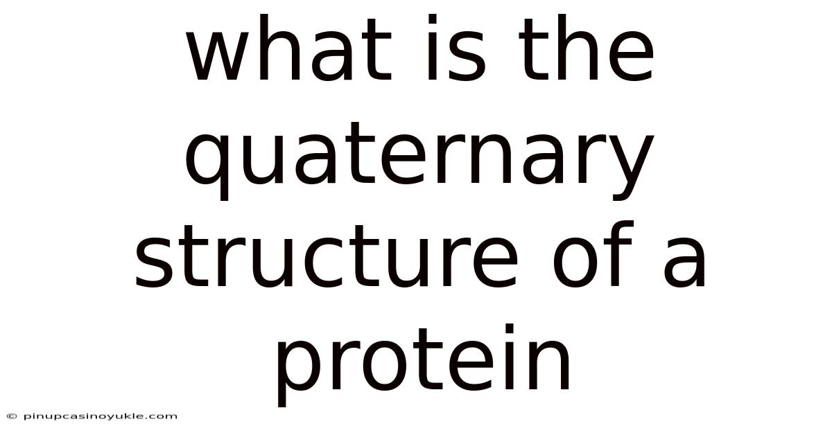 What Is The Quaternary Structure Of A Protein