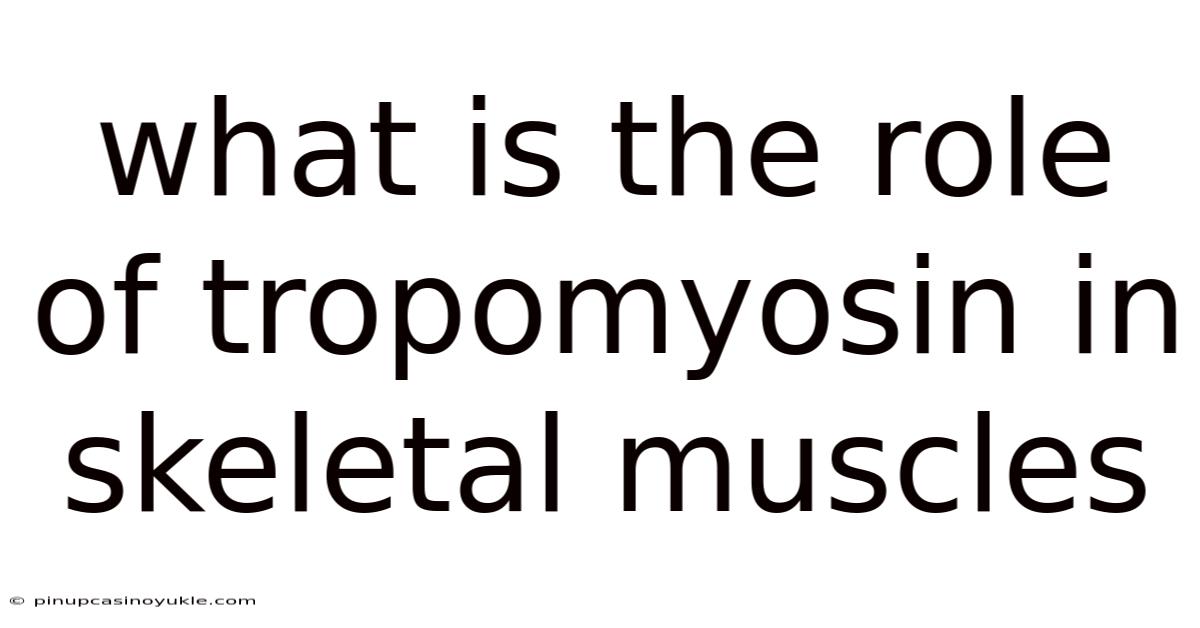 What Is The Role Of Tropomyosin In Skeletal Muscles