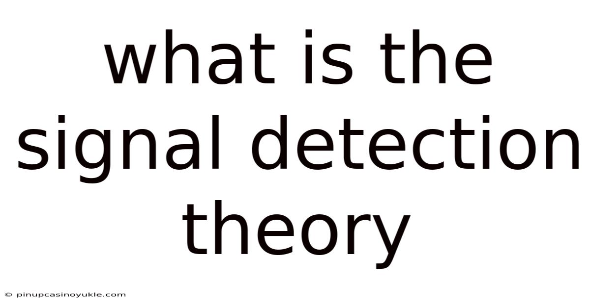 What Is The Signal Detection Theory