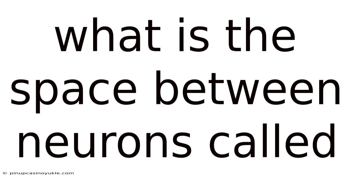 What Is The Space Between Neurons Called
