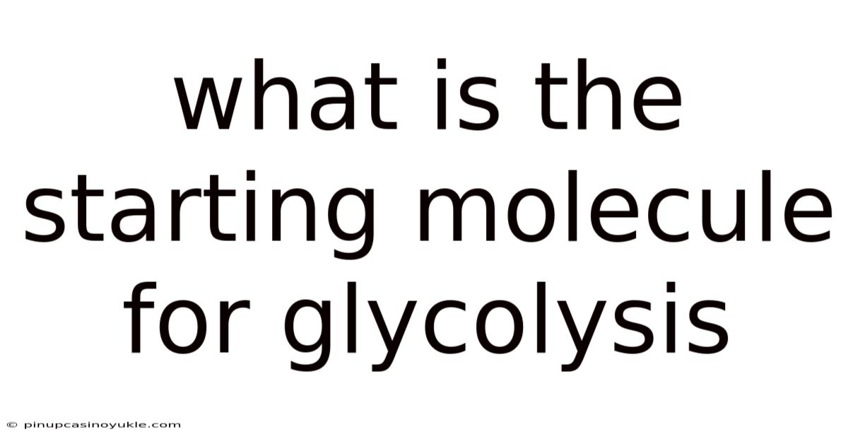What Is The Starting Molecule For Glycolysis