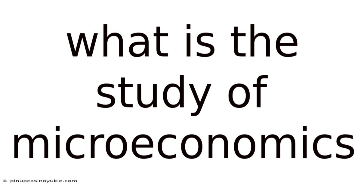 What Is The Study Of Microeconomics