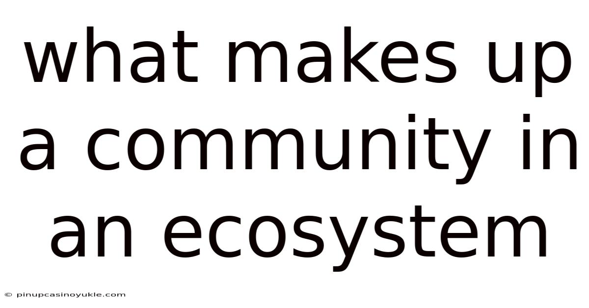 What Makes Up A Community In An Ecosystem